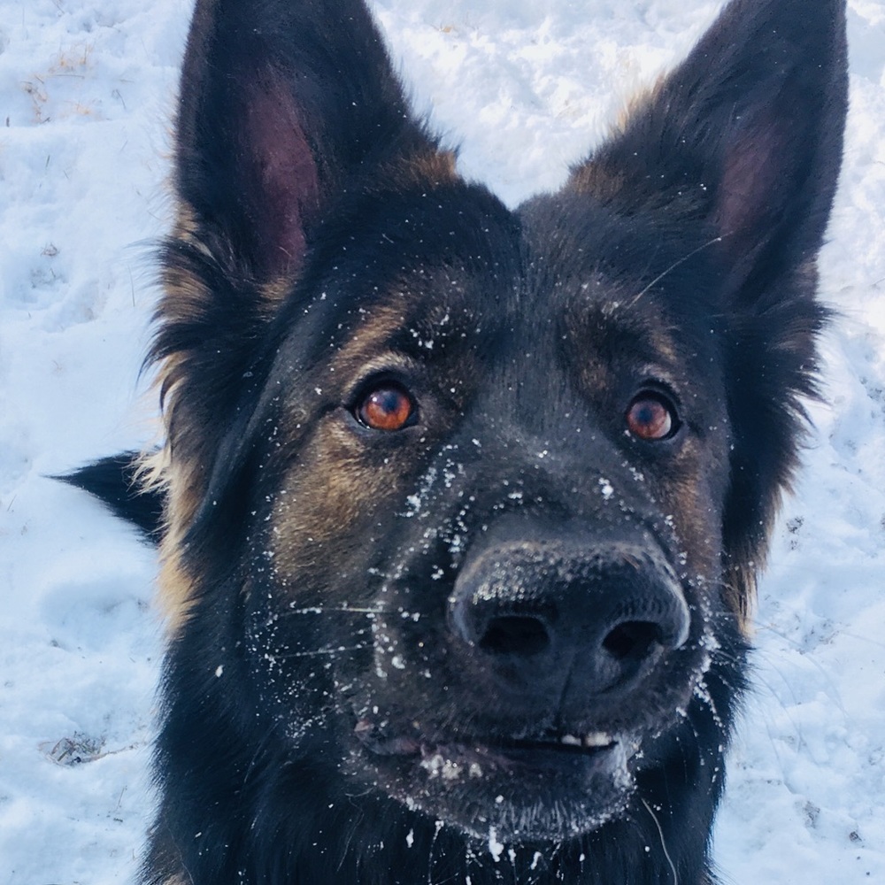 Meet your Posher, Christeen